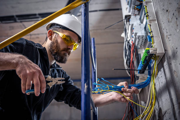 Best Electrician for Home Renovation  in Ash Grove, MO