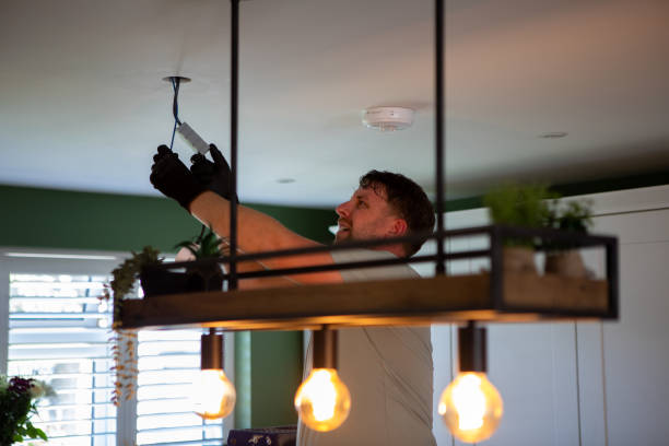 Best Electric Panel Repair  in Ash Grove, MO